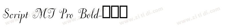 Script MT Pro Bold字体转换